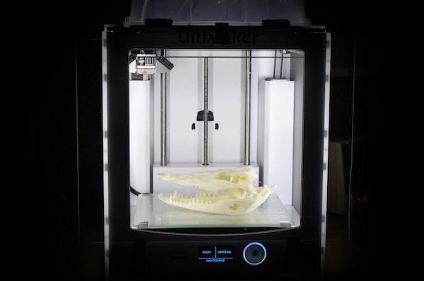 Dinosaur skull inside a brightly lit 3D printer, in a very dark room.