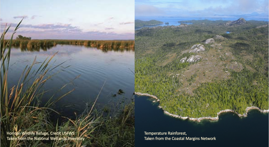 On the left, wetland featuring a pond and a variety of grasses.  On the right an aerial view of a temperate rainforest near an ocean