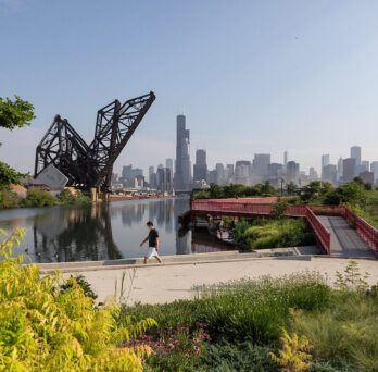 Lots of greenery and vegetation along a river with a walking path and bridge.  It is a bright, sunny day with the Chicago skyline is in the background. 