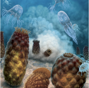 “Death and decay in the Pennsylvanian”: A doomed cluster of the sea anemone Essexella is inundated by an underwater sediment avalanche, which kills and buries them. A previously killed anemone lies rotting on the sea floor, while the jellyfish Anthracomedusa and Octomedusa, soon to also be buried, swim above. Artwork by Julius Csotonyi. 